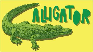 vector image of an alligator in style art graphic
