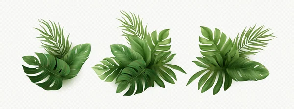 Sada Realistických Palmových Tropických Listů Izolovaných Bílém Pozadí Tropické Listy — Stockový vektor