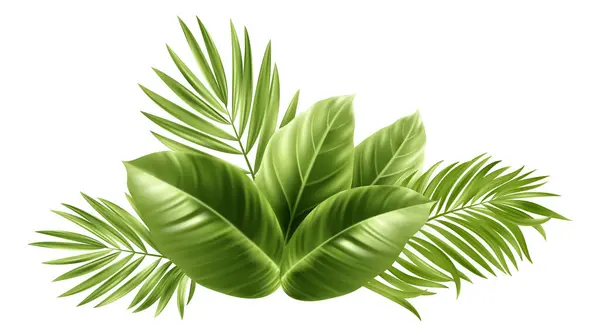 Tropiska Palmblad Palm Tree Plant Leaf Vektorillustration Royaltyfria illustrationer