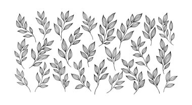 Bahar yapraklı doğrusal karalama sanatı çizimi. Vektör illüstrasyonu