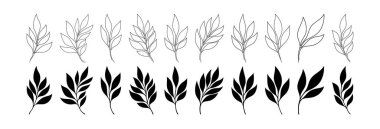 Çeşitli Biçim ve Tasarım Gösterilerinde Minimalist Yaprak Resimleri