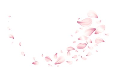 Beyaz Arkaplanda Akan Bir Şablon İçinde Güzel Pembe Gül Yapraklarının Vektör ResimleriName.