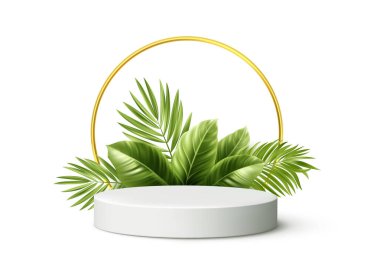 Tropikal Palm Leaves ile Ürün Podyumu. Vektör İllüstrasyonu