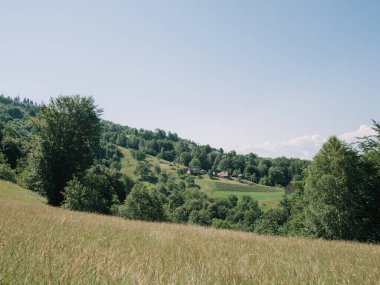 Sisli gökyüzünde Karpatlar 'ın büyüleyici yaz manzarası