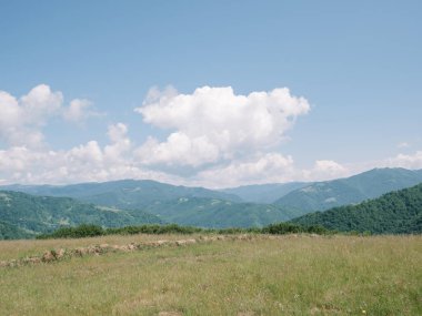 Sisli gökyüzünde Karpatlar 'ın büyüleyici yaz manzarası