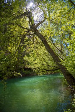 Romantic walk for the green river, Cuenca, Spain.