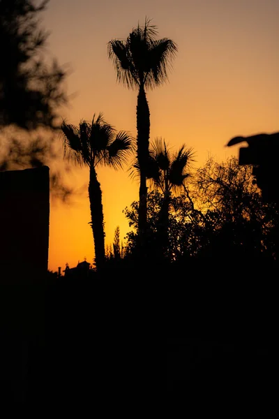 Siluetler, gün batımında ışığa karşı çekilen fotoğraf La Manga del Mar Menor, Murcia, İspanya