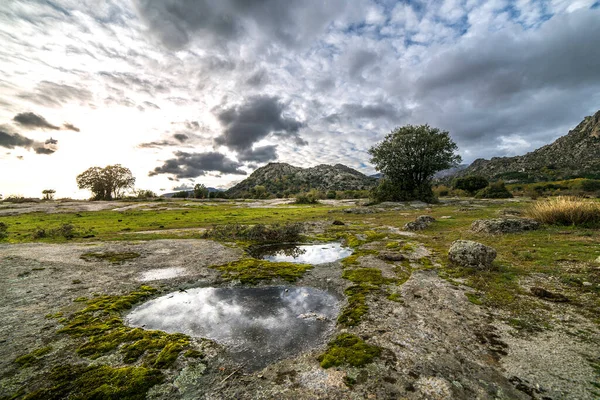 Cerro de la Cabeza, La Cabrera (Madrid) manzaralı Dehesa de Roblellano).