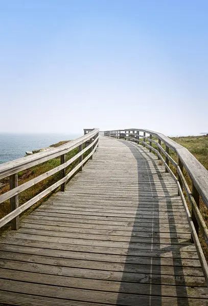 Playa de las Catedrales kayalıkları boyunca uzanan ahşap geçit.