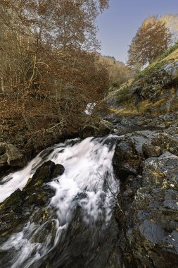 Water falls of the Ara river, in the Bujaruelo valley, Monte Perdido-Ordesa, Huesca, Spain clipart
