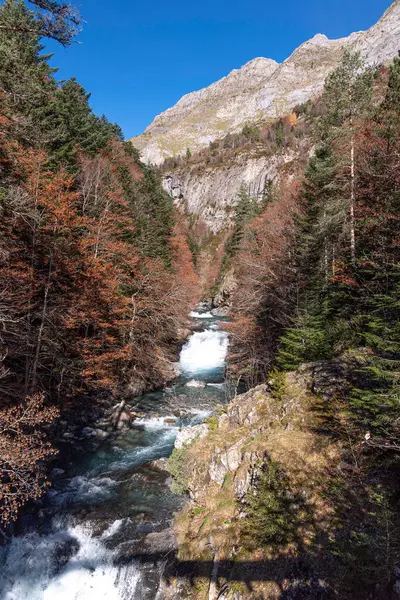 Ara Nehri 'nin suyu, Bujaruelo vadisinde, Monte Perdido-Ordesa, Huesca, İspanya
