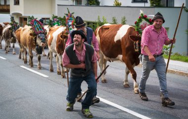 Oberau, Wildschoenau, Avusturya - 24 Eylül 2022: 'Alp' ten vadiye süslü ineklerle dönen geleneksel giyimli çiftçiler, Oberau, Wildschnau, Avusturya