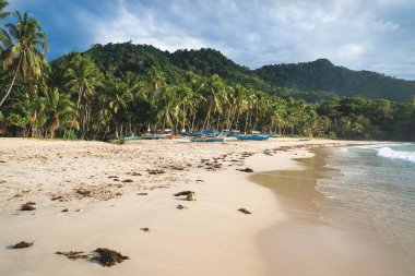 El Nido Körfezi, Palawan, Filipinler 'de palmiye ağaçları ve okyanus sörfü ile cennet kumsalında gün batımı