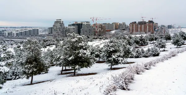 Kışın karlı Madrid 'in resmi