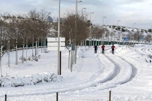 Madrid 'deki kar fırtınasından sonra şehir yıkıldı.