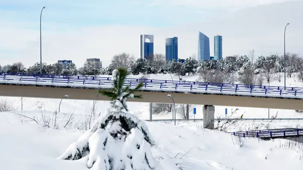 Kışın karlı Madrid 'in resmi