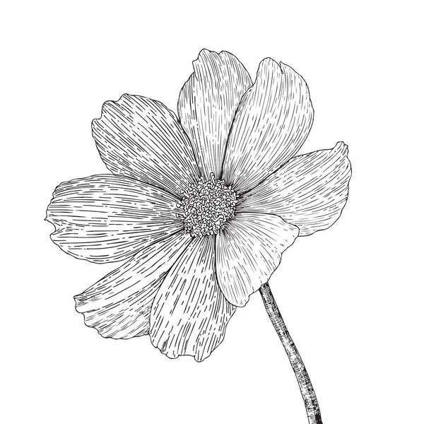 vektör illüstrasyon çiçek eli çizimi