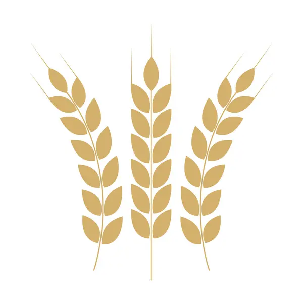 Güzel altın buğday kulakları içeren bu zarif tasarım tarım, doğa ve büyüme temaları için mükemmeldir.