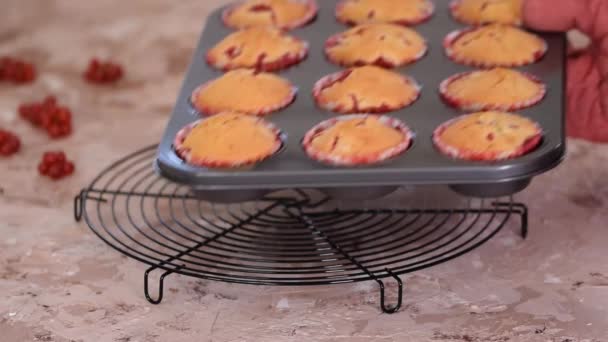 Frissen Sült Muffin Piros Ribizlivel Közelkép Egy Muffin Serpenyőben Asztalon — Stock videók