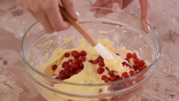 Preparing Cake Berry Cake Dough Red Berry Bowl Spatula — Video Stock