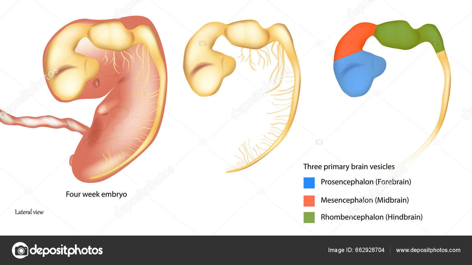 Hurmatli porno Korporativ partiya pornosini tomosha qiling