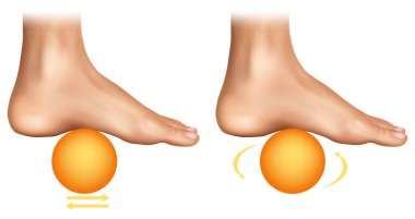 Ayak masajı egzersizlerini bir topla gösteren gerçekçi tıbbi illüstrasyon. Görüntü, plantar fasiit rahatlama ve kemer germe için iki teknik gösteriyor.