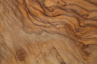 Olive wood texture background. Vintage wood. Surface of texture with natural pattern. Close up cross section of old tree texture background.
