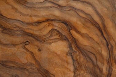 Olive wood texture background. Vintage wood. Surface of texture with natural pattern. Close up cross section of old tree texture background.
