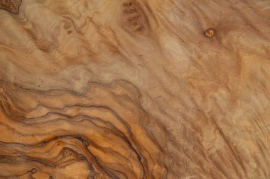 Olive wood texture background. Vintage wood. Surface of texture with natural pattern. Close up cross section of old tree texture background.