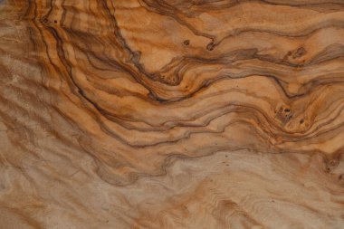 Olive wood texture background. Vintage wood. Surface of texture with natural pattern. Close up cross section of old tree texture background.