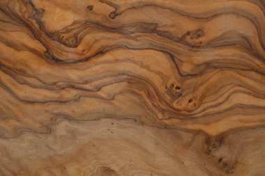 Olive wood texture background. Vintage wood. Surface of texture with natural pattern. Close up cross section of old tree texture background.