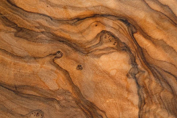Olive wood texture background. Vintage wood. Surface of texture with natural pattern. Close up cross section of old tree texture background.