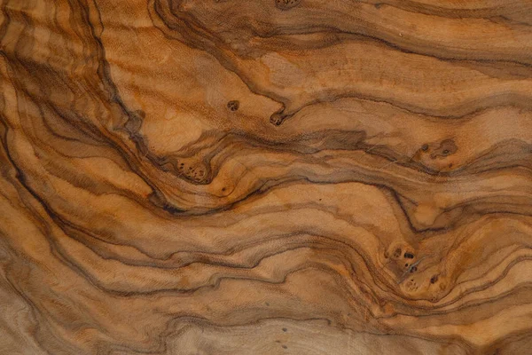 Olive wood texture background. Vintage wood. Surface of texture with natural pattern. Close up cross section of old tree texture background.