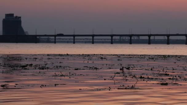 日没で穏やかな大きな美しい川Dnipro オレンジ色の夕日の光の街の交通橋 ドニプロの街で美しい夕日 リアルタイムUhd 4Kビデオ — ストック動画