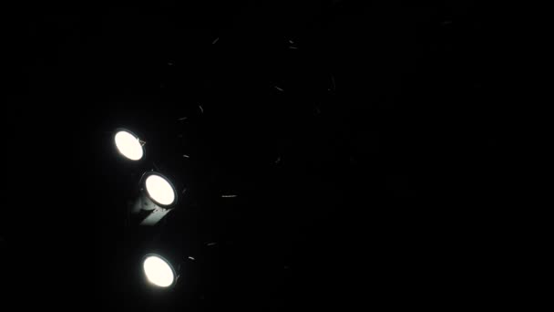 Alla Sera Sciami Insetti Volano Intorno Lampioni Una Lanterna Incandescente — Video Stock