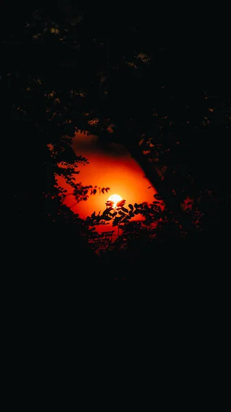 Vista Panorâmica Cidade Dnipro Durante Pôr Sol Nascer Sol Pôr — Fotografia de Stock