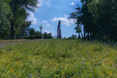 Çayırdaki renkli çiçekler. Parktaki yeşil bir tarlada yaz çiçekleri. Çiçekli yataklar, yukarıdan renkli bir çiçek tarhı. Çayır çiçekleri. Yabani çiçek karışımı.