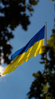 Ukrayna bayrağı büyük bir ulusal semboldür. Bağımsızlık Anayasa Günü, Ulusal Bayram. Ukrayna bayrağıyla yakın çekim.