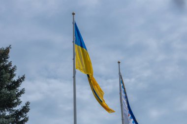 Ukrayna bayrağı büyük bir ulusal semboldür. Bağımsızlık Anayasa Günü, Ulusal Bayram. Ukrayna bayrağıyla yakın çekim.