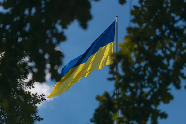 Флаг Украины Большой Национальный Символ День Конституции Независимости Национальный Праздник — стоковое фото