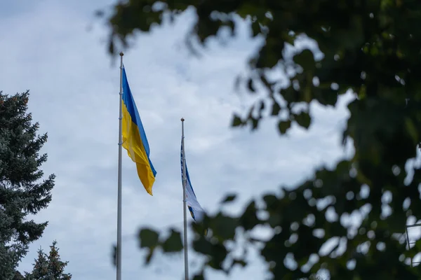 Ukrajinská Vlajka Velkým Národním Symbolem Den Ústavy Nezávislosti Národní Svátek — Stock fotografie