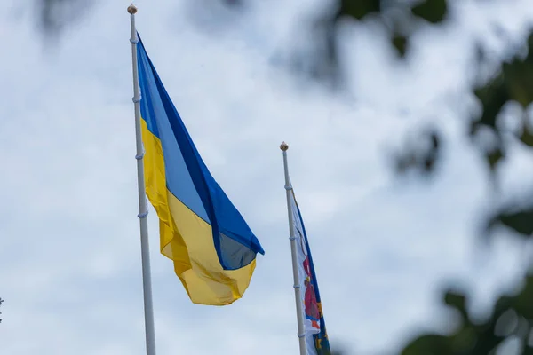 Прапор України Великий Національний Символ День Конституції Незалежности Національне Свято — стокове фото