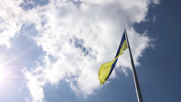 Flag Ukraine Big National Symbol Independence Constitution Day National Holiday — Stock Video