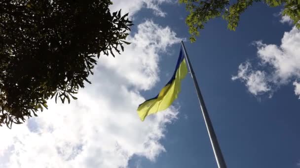 Ukrayna Bayrağı Büyük Bir Ulusal Semboldür Bağımsızlık Anayasa Günü Ulusal — Stok video