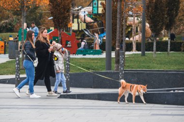 İnsanlar sonbahar parkında ve meydanda yürüyor. Hayattaki mutlu anlar. Ukraynalı erkek ve kızlar Dnipro şehrinde dolaşıyorlar. DNIPRO, UKRAINE Ekim 2023
