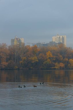 Dnipro, Ukrayna 'nın doğusunda ve güneyinde, Dnepropetrovsk bölgesinin yönetim merkezi olan bir şehirdir. Şehrin sağ kıyısının panoramik görüntüsü