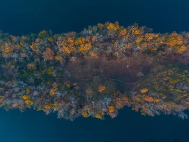 Dinyeper şehrindeki Pobeda 'ya yukarıdan kürek çeken kanal tükürdü. River View. Sonbahar renkleri. Drone fotoğrafçılığı.