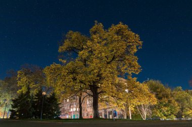 Şehirdeki yıldızlı gökyüzü. Panoramik manzara. Yıldızların altındaki Ukrayna şehri. Dnepr şehrindeki doğal gece manzarası. Arkaplan resmi.