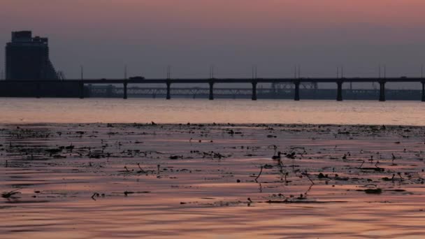Calm Big Beautiful River Dnipro Sunset City Transport Bridge Orange — Stock Video