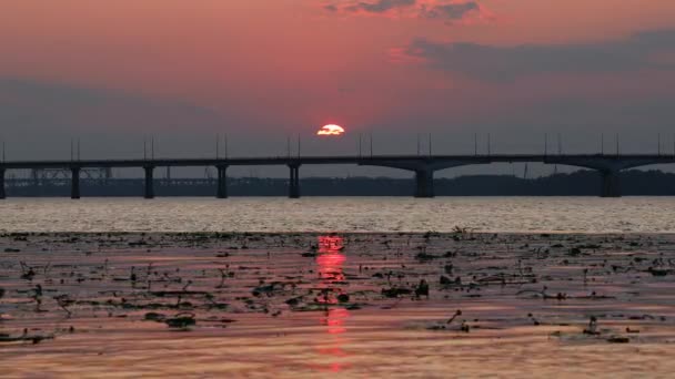 Klidné Velké Krásné Řeky Dnipro Při Západu Slunce Přepravní Most — Stock video